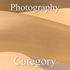 2017 Patterns Exhibition - Part 3 - Photography & Digital