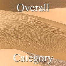 2017 Patterns Exhibition - Part 1 - OA, Paint. & 3D Art