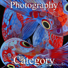 2017 Open Exhibition - Part 3 - Photography & Digital