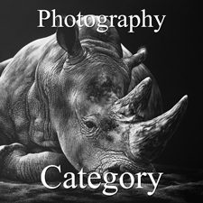 2017 Nature Exhibition - Part 3 - Photo. & Digital Category