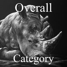 2017 Nature Exhibition - Part 1 - OA, Paint, & 3D Art