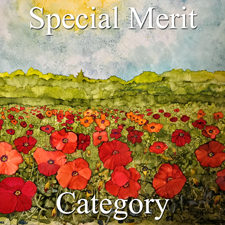2017 Landscapes Exhibition - Part 2  Special Merit Category