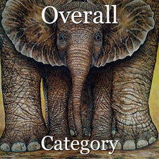 2017 Animals Exhibition - Part 1 - OA & Special Merit