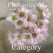 2016 Botanicals Exhibition - Part 3 - Photography & Digital