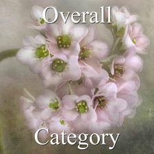 2016 Botanicals Exhibition - Part 1 - OA & Special Merit