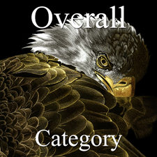 2016 Animals Exhibition - Part 1 - OA, Photo. & 3D Art