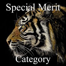 2015 Nature Exhibition - Part 3 - Special Merit Category