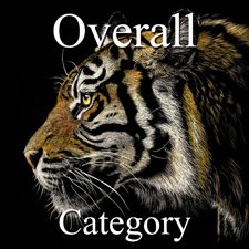 2015 Nature Exhibition - Part 1 - OA, Photo & 3D Art