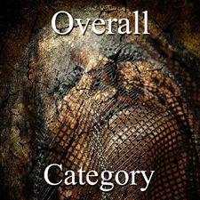 2015 Figurative Exhibition - Part 1 - Overall & Painting