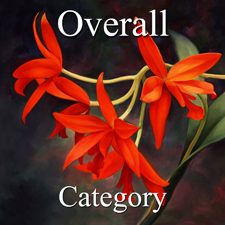 2015 Botanicals Exhibition - Part 1 - OA, Photo & 3D