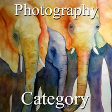 2015 Animals Exhibition - Part 1 - Photography