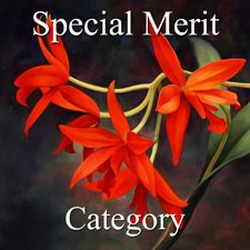 2915 Botanicals Exhibition -  Part 3 - Special Merit