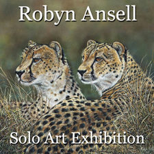 Robyn Ansell - Solo Art Exhibition