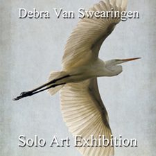 Debra Van Swearingen - Solo Art
