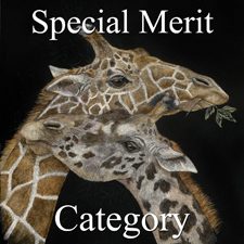 Animals 2018 Art Exhibition - Part 3 - Special Merit Category
