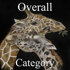 Animals 2018 Art Exhibition - Part 1 - OA, Photo & 3D Art Categories