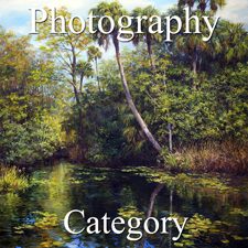 Landscapes 2018 Art Exhibition - Part 3 - Photography & Digital