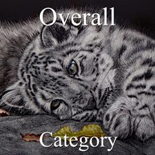 2018 Nature Art Exhibition - Part 1 - Overall, Special Merits, & 3D Art