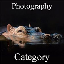Animals 2019 Art Exhibition - Part 2 - Photography, Digital & 3D Categories