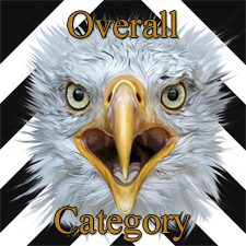 &ldquo;555 Special&rdquo; 2019 Art Exhibition - Part 1- Overall and Painting Categories