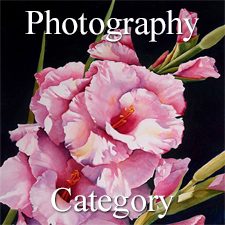 &ldquo;Botanicals&rdquo; 2019 Art Exhibition - Part 2 &ndash; Photography & Digital Categories