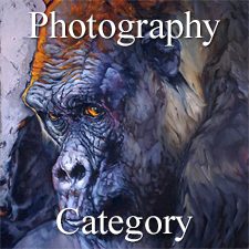 "Nature" 2019 Art Exhibition - Part 2 &ndash; Photography & Digital & 3D Categories