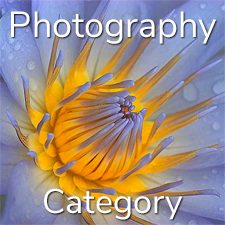 "Botanicals" 2020 Art Exhibition - Part 2 – Photography & Digital and 3 Dimensional Categories