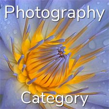 "Botanicals" 2020 Art Exhibition - Part 2 &ndash; Photography & Digital and 3 Dimensional Categories