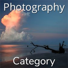 “SeaScapes” 2020 Art Exhibition - Part 2 – Photography & Digital Categories