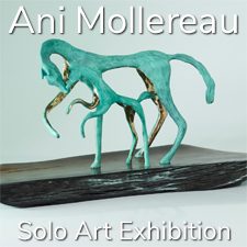 Ani Mollereau - Solo Art Exhibition