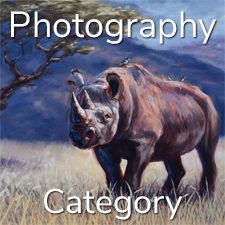 &ldquo;Nature&rdquo; 2020 Art Exhibition - Part 2 &ndash; Overall, Photography & Digital and 3 Dimensional Categories