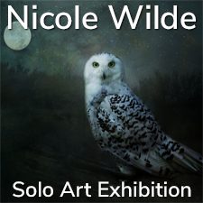 Nicole Wilde - Solo Art Exhibition