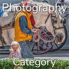 &ldquo;Open&rdquo; 2021 Art Exhibition - Part 2 &ndash; Overall, Photography & Digital and 3 Dimensional Categories