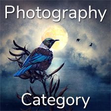 &ldquo;Nature&rdquo; 2021 Art Exhibition - Part 2 &ndash; Overall, Photography & Digital and 3 Dimensional Categories