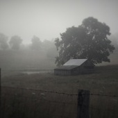 Hon. Mention – Rebecca Junod – “The Old Barn” – emtjunod1@gmail.com