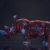 Oleg Kedria - “Starry Rhino” – Kedrya@mail.com