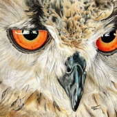 Shannon Bolen - “The Sage” – shannonbolen73@yahoo.com