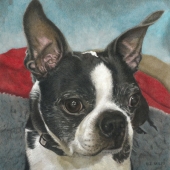 Helen Bailey - “Turbo” – http://www.helenbaileyart.com/