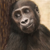 Silvia Schmidt - “Longing” – https://www.silvia-schmidt-farbreisen.de/