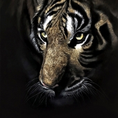 Olga Kaydash - “Invincible” – lkaydash@comcast.net