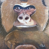 Tanya Abel - “Gorilla Power” – http://www.mitzvahgifts.net/