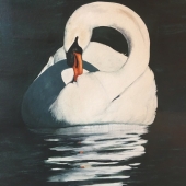 Kathy Joyce - “Lone Swan” – kathyjsmalley@gmail.com