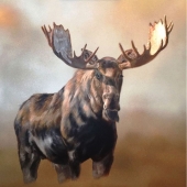 Qing Wang - “The Moose” – http://www.qingsart.com/