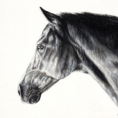 Alice Joy Murphy - “Dark Star” – http://www.alicejoymurphyart.com/