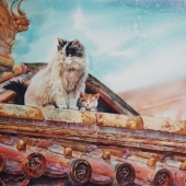 Liya Liang - “Royal Cat” – 877765011@qq.com