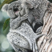 Fiona Groom - “Peek a Boo” – http://www.fmgfionagroomvisualartist.com/