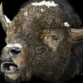 George Ann Johnson - “Cold Night” – http://www.gajart.com/