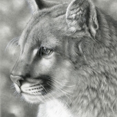 Gemma Gylling - “Call of the Wild” – https://gemmagylling.com/