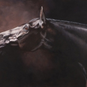Helen Coulter - “Stretch” – http://www.helencoulter.com.au/