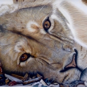 Daniela Rum - “The Queen” – daniela_rum@yahoo.it